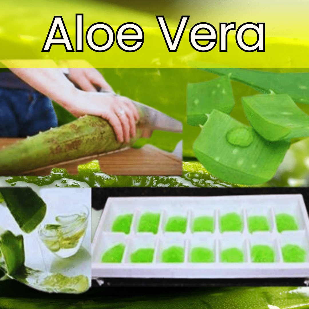 previene y trata el cáncer con los remedios naturales curativas (1) (1)